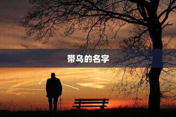 带乌的名字