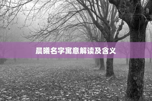 晨曦名字寓意解读及含义