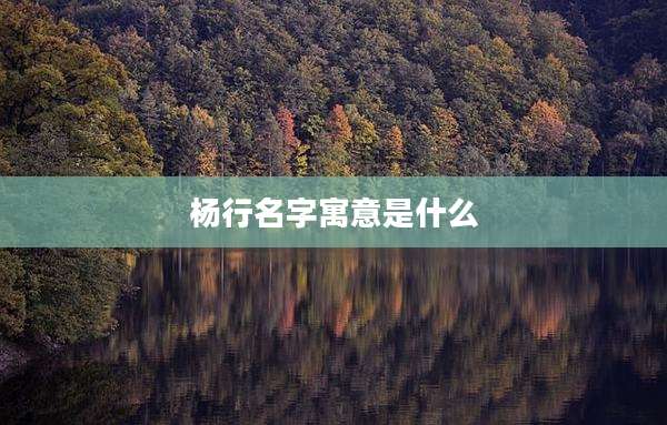 杨行名字寓意是什么