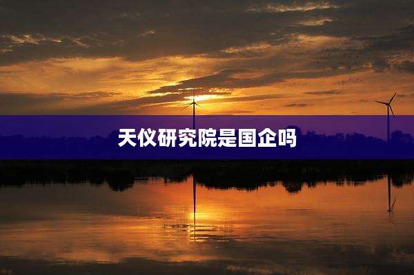天仪研究院是国企吗