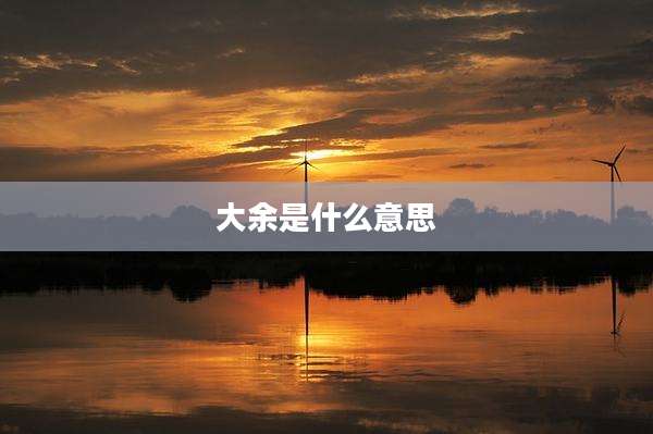 大余是什么意思