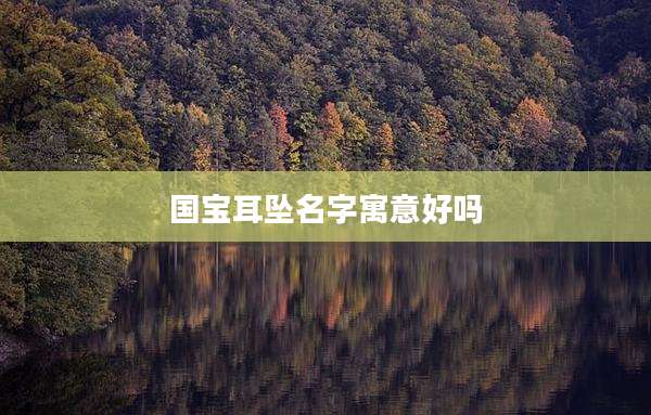 国宝耳坠名字寓意好吗