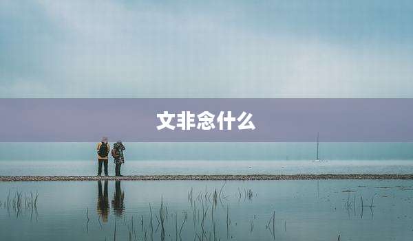 文非念什么