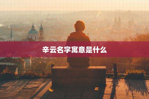 辛云名字寓意是什么