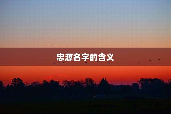 忠源名字的含义