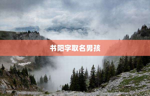 书阳字取名男孩