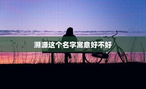 溯源这个名字寓意好不好