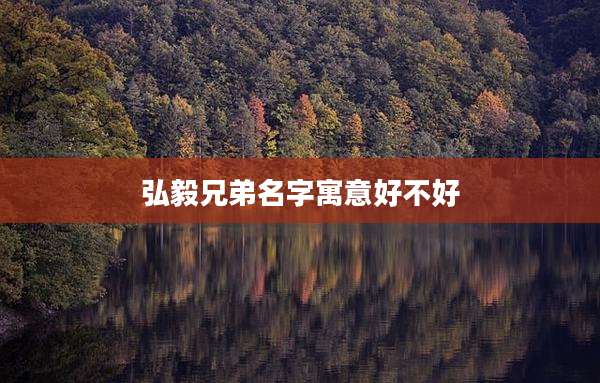 弘毅兄弟名字寓意好不好