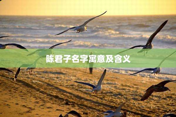 陈君子名字寓意及含义