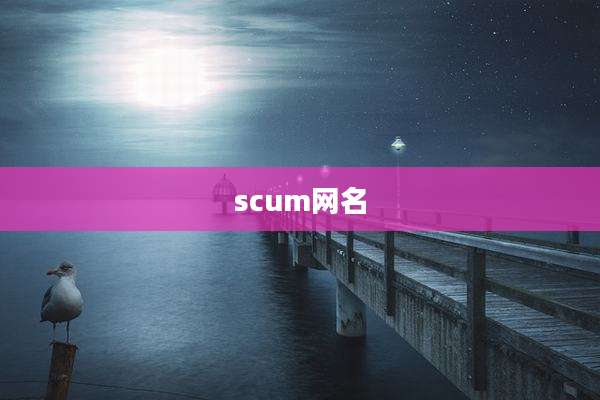 scum网名