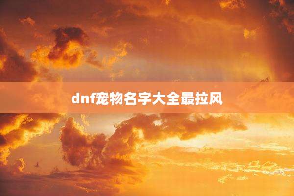 dnf宠物名字大全最拉风