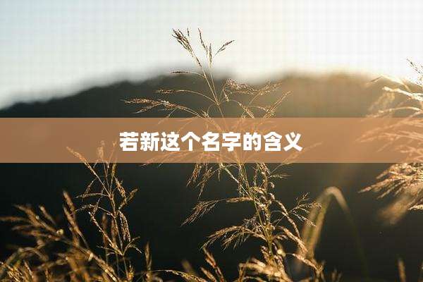 若新这个名字的含义