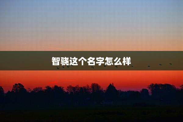 智骁这个名字怎么样