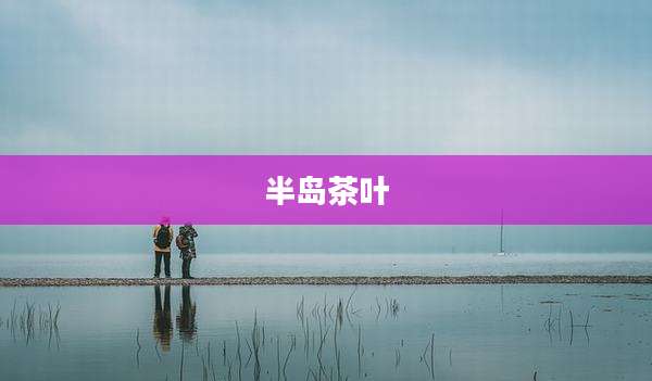 半岛茶叶