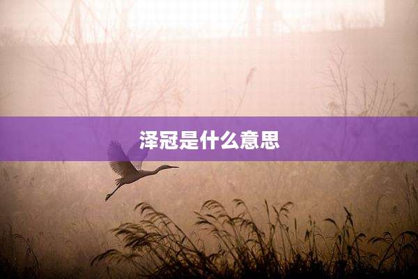 泽冠是什么意思