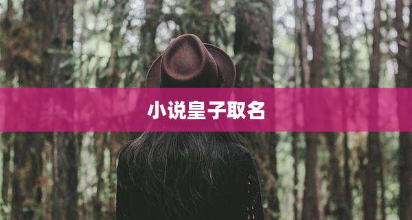 小说皇子取名