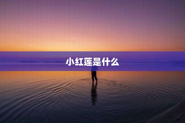 小红莲是什么