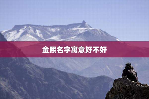 金熙名字寓意好不好