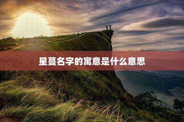 星蔓名字的寓意是什么意思
