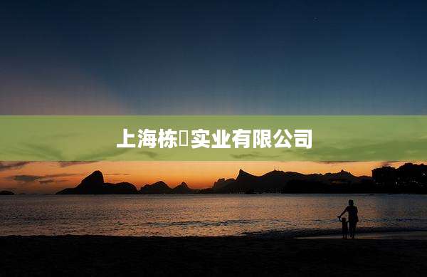 上海栋燊实业有限公司