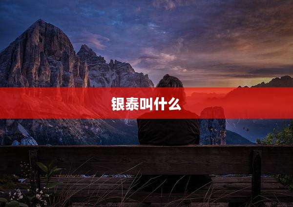 银泰叫什么