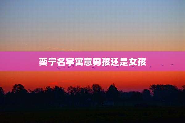 奕宁名字寓意男孩还是女孩