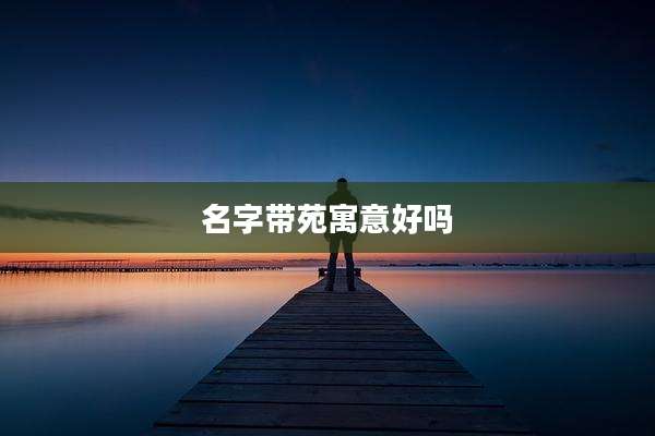 名字带苑寓意好吗