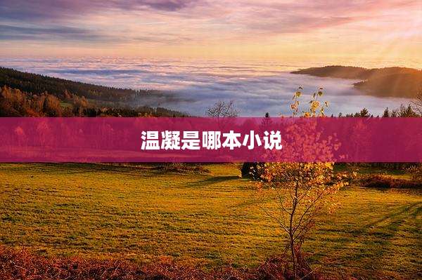 温凝是哪本小说