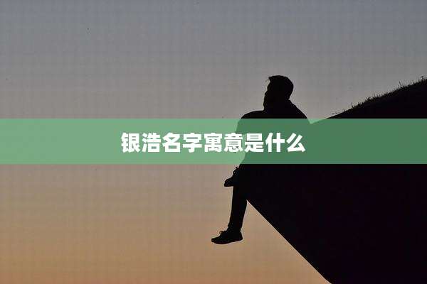 银浩名字寓意是什么