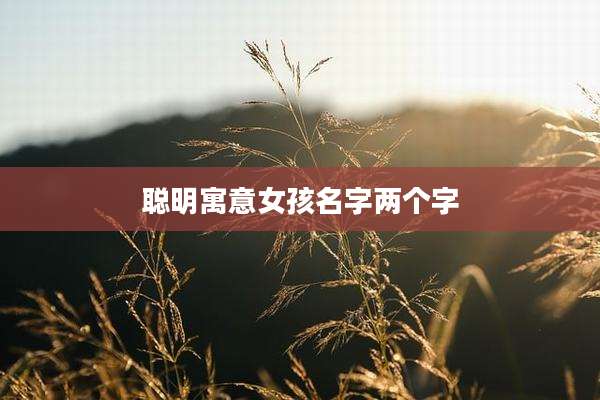 聪明寓意女孩名字两个字