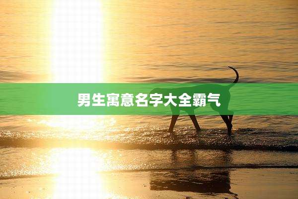 男生寓意名字大全霸气