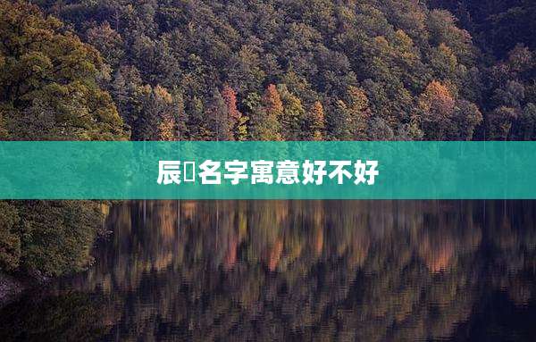 辰璟名字寓意好不好