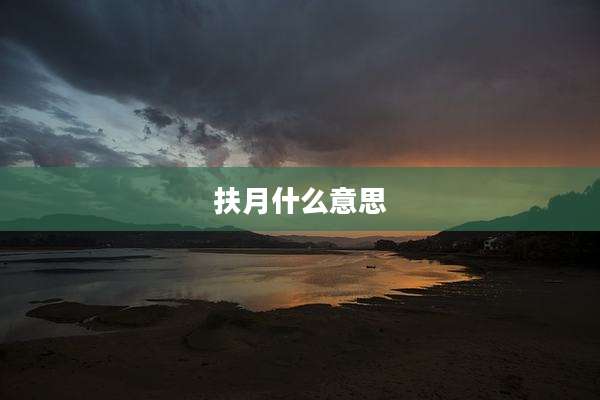 扶月什么意思