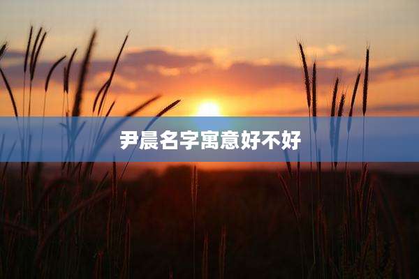 尹晨名字寓意好不好