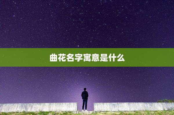 曲花名字寓意是什么