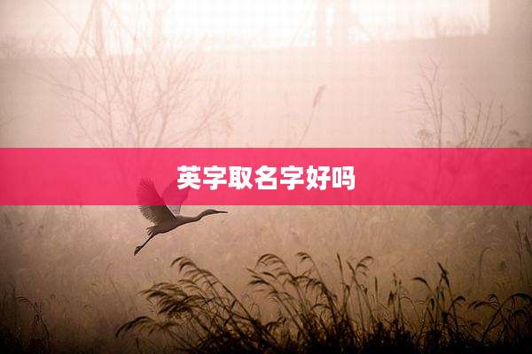 英字取名字好吗