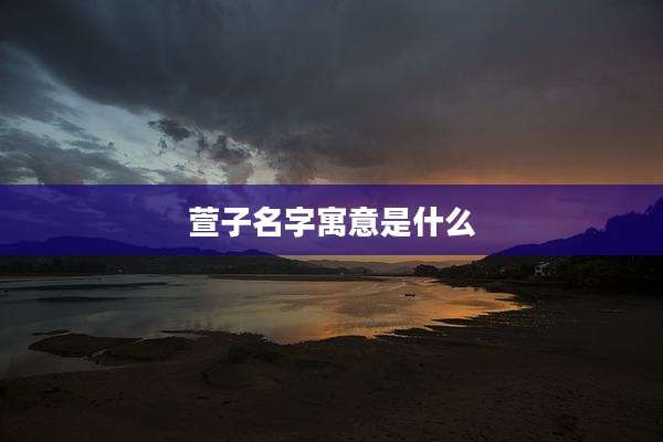 萱子名字寓意是什么