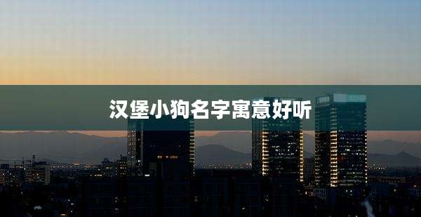 汉堡小狗名字寓意好听