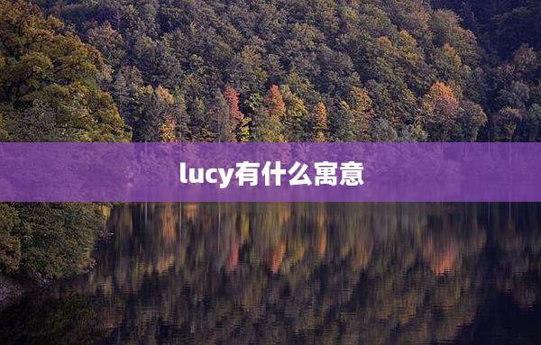 lucy有什么寓意