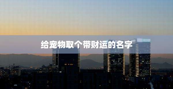 给宠物取个带财运的名字