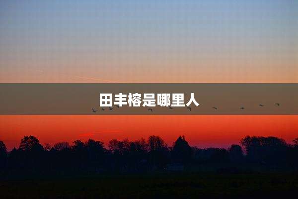 田丰榕是哪里人