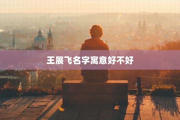 王展飞名字寓意好不好