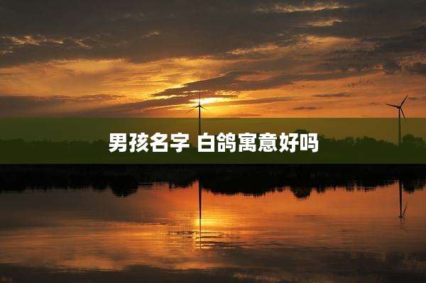男孩名字 白鸽寓意好吗