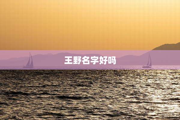 王野名字好吗