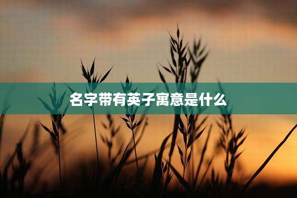 名字带有英子寓意是什么