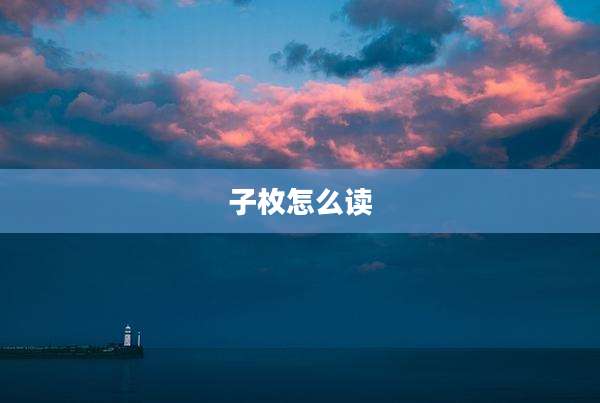 子枚怎么读