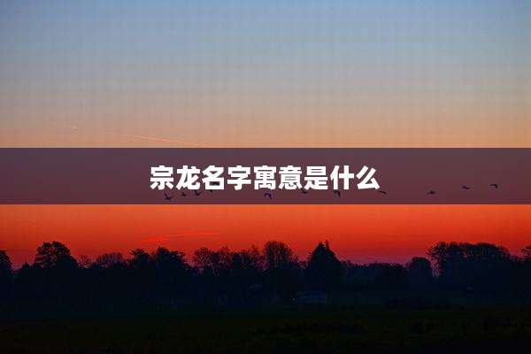 宗龙名字寓意是什么