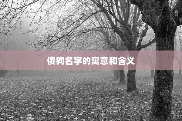 傻狗名字的寓意和含义