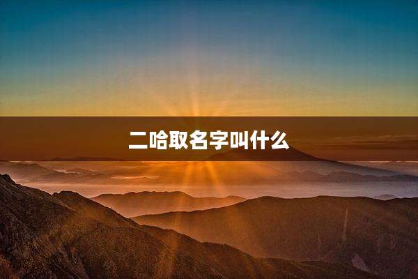 二哈取名字叫什么