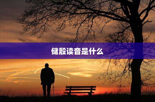 储殷读音是什么